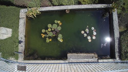 Hotel Rural Quinta das Quintães - image 6
