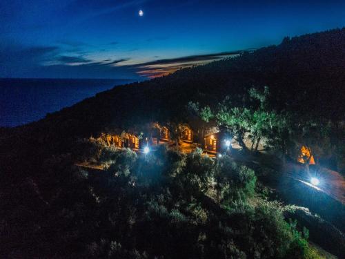 منظر, Holiday Park Olive Tree in اولسينج