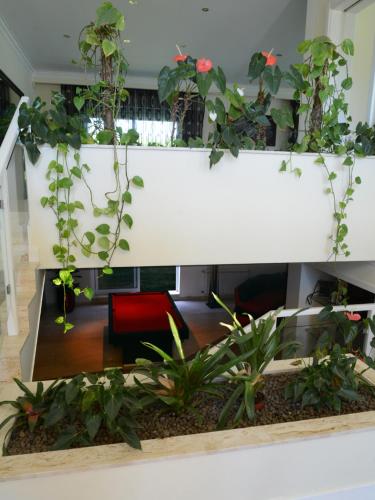 Villa Vieira