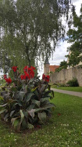 Direkt am Main Direkt am Main