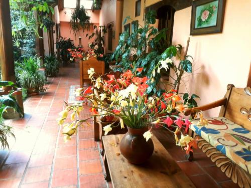 Posada Papa Chepe in La Esperanza