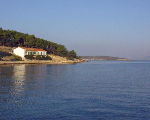 Apartments by the sea Povlja Brac - 762