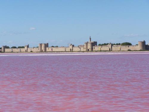 Aigues-Mortes villa prés des remparts - Location saisonnière - Aigues-Mortes