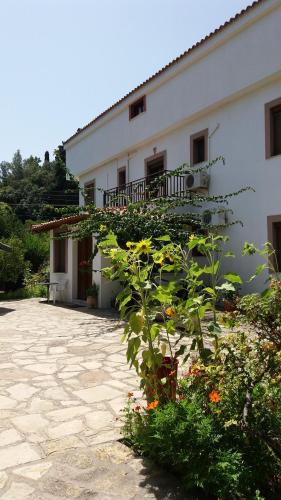  Alekos Rooms and Apartments in Kokkari