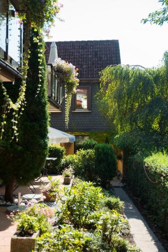 One-Bedroom Apartment with Terrace (2-3 Adults)