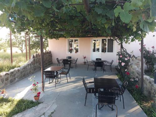 Viesnīcas āriene, guesthouse gareji in Udabno