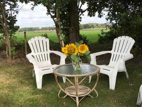 tuin, Vakantiehuis aan zee in Schagen