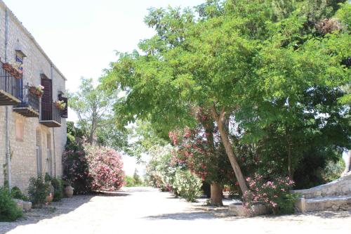 Agriturismo Ridocco - Partinico