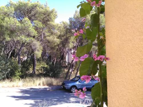  Apartment Petrus, Unterkunft in Šibenik