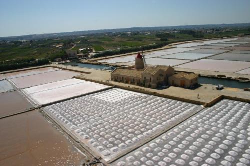 Oasi Guzzetta - image 5