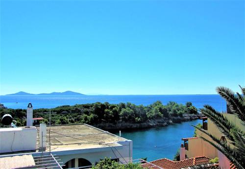 Gorgona Hotel - image 6