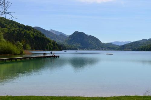 Gasthof Alte Tanne - image 9