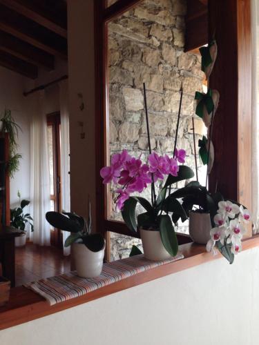 Eingang, B&B Casa Lisa in Miane