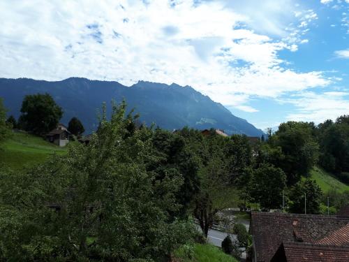 Bed and Breakfast Krone in Ruggell