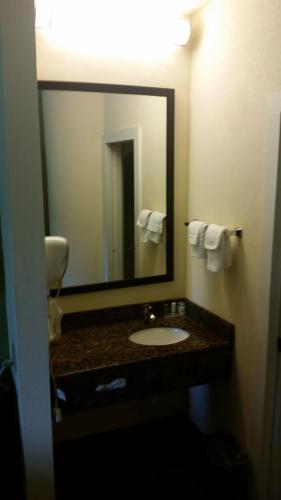 Wingate by Wyndham Macon West I-475 - 화장실