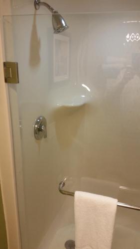 Wingate by Wyndham Macon West I-475 - 샤워실