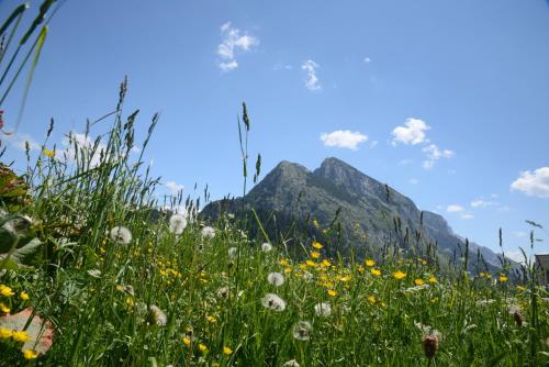 Pension Alpenblick - image 7