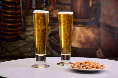 Hotel Guadalajara Plaza Ejecutivo