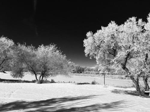 Legacy Inn – Price, UT