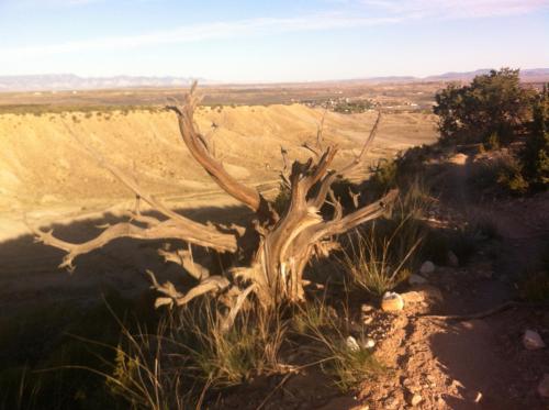 Legacy Inn – Price, UT
