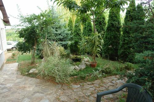 Casa Tomson free parking ciubăr piscină în natura - image 3