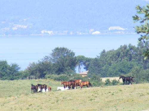 Parco Del Lago Glamping And Lodges - image 13