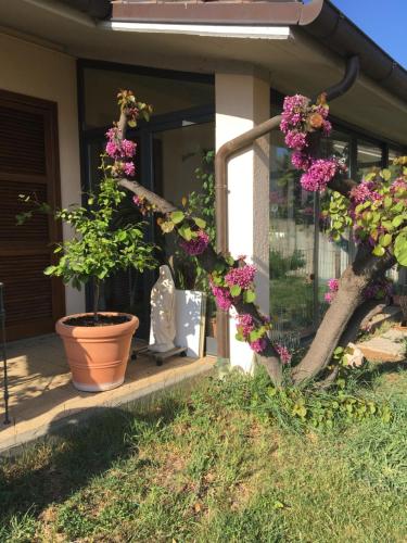 B&B L'Ornello- chambre d'hôte Narni