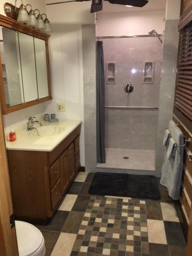 Fürdőszoba, Log Home Guest House in Ocklawaha