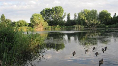 Surrounding environment, HUGO BEACH HOTEL in Gandia