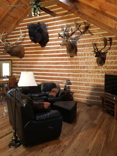 Log Home Guest House in Ocklawaha, USA
