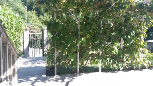 Apartment Villa Dobrijevic -Seljanovo