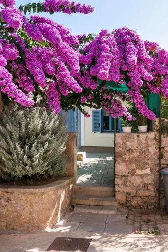  Apartments Relax in 51551 Veli Lošinj