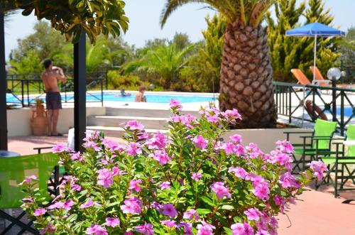 Aloni Suites - image 5