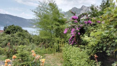 Apartment Rose Garden - image 9