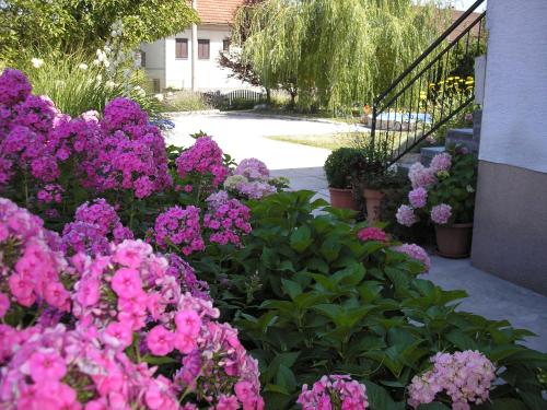 Guesthouse Vila