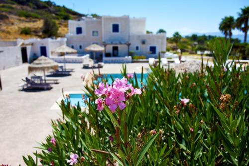 Paradise Apartments Studios — rental in Mylopotas, Mylopotas GR, 84001