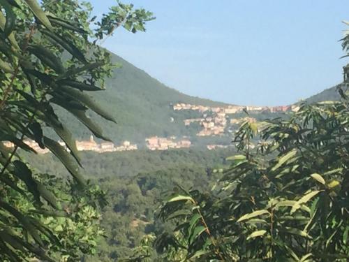 Le Quattro Stagioni in Teano
