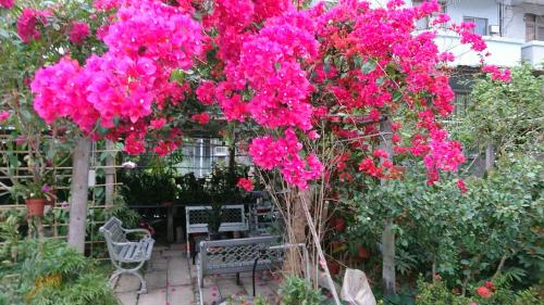 Garden Hostel - 편의 시설/서비스