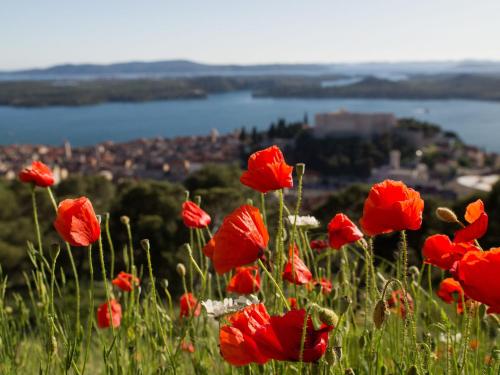  Apartment Luca in Šibenik