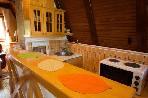 Planinska kuća Tipi Tara - image 7