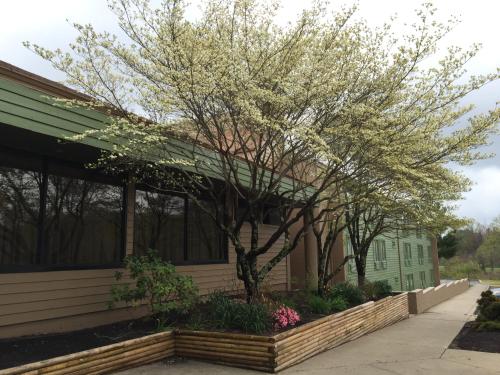 Holiday Lodge Hotel and Conference Center - main image