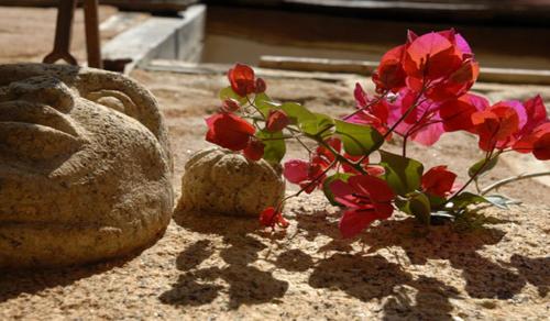 Apartamentos Rurales Los Vergeles - image 6