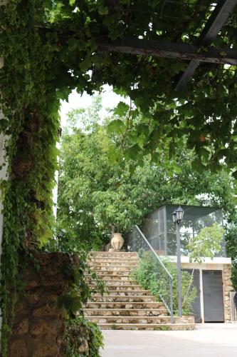 

Complejo Rural Cortijo El Marqués