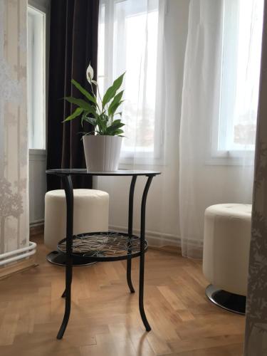 Executive Two-Bedroom Apartment