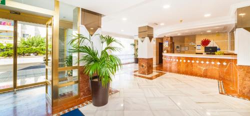 Globales Condes de Alcudia - 로비