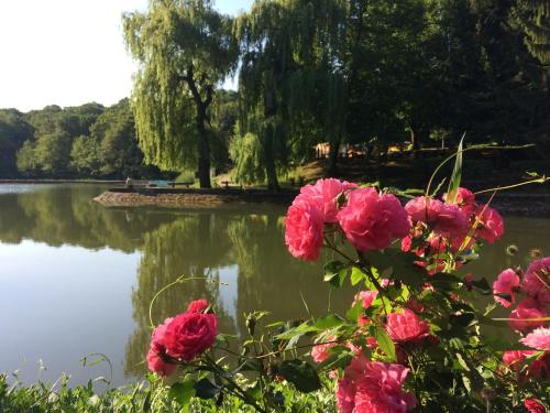 Hotel Síkfőkút - image 8