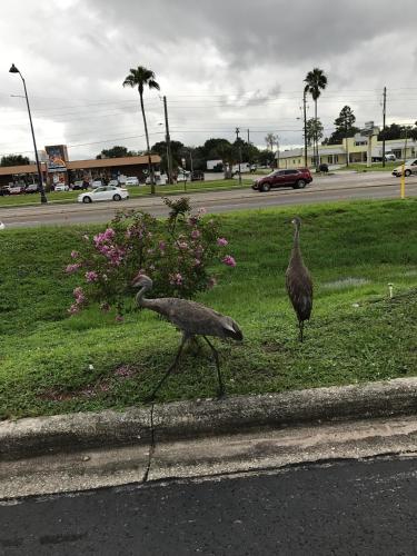 Enterprise Motel – Kissimmee, FL