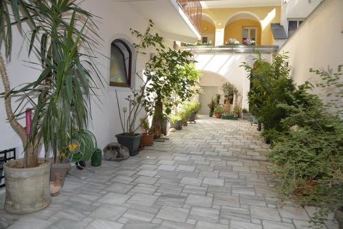 Apartments Alter Platz