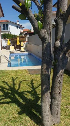  Casa dos Ingleses, Pension in Amarante