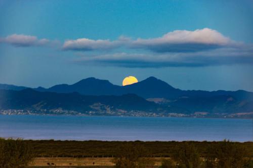 Accommodation in Hauraki District